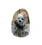 小次郎な日々（個別スタンプ：18）