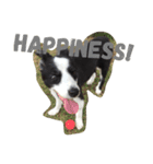 Border Collie.ruga（個別スタンプ：8）