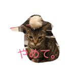 きもち（個別スタンプ：2）