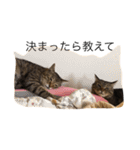 きもち（個別スタンプ：3）