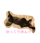 きもち（個別スタンプ：4）