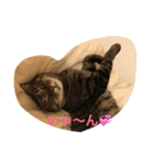 きもち（個別スタンプ：7）