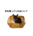 きもち（個別スタンプ：10）