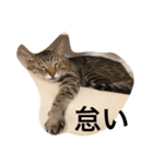 きもち（個別スタンプ：29）