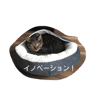 意識高そうな言葉とねこすけです。（個別スタンプ：4）