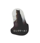 意識高そうな言葉とねこすけです。（個別スタンプ：5）