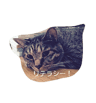意識高そうな言葉とねこすけです。（個別スタンプ：7）