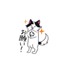 豆大福犬スタンプ（個別スタンプ：11）