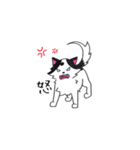 豆大福犬スタンプ（個別スタンプ：16）