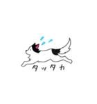 豆大福犬スタンプ（個別スタンプ：19）