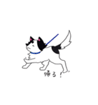 豆大福犬スタンプ（個別スタンプ：20）
