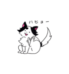 豆大福犬スタンプ（個別スタンプ：30）