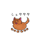 豆大福犬スタンプ（個別スタンプ：38）