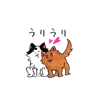 豆大福犬スタンプ（個別スタンプ：40）