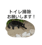 堀口ねこ-1（個別スタンプ：4）