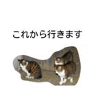 堀口ねこ-1（個別スタンプ：7）