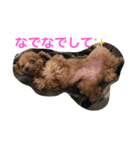 もっぴー（個別スタンプ：1）