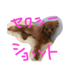 もっぴー（個別スタンプ：3）