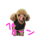 もっぴー（個別スタンプ：7）