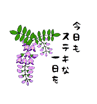 四季折々の草花スタンプ（個別スタンプ：1）