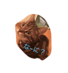 ちょっとした会話にかわいい猫（個別スタンプ：5）