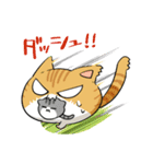 にゃいんしゅたいんスタンプ（個別スタンプ：24）