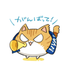 にゃいんしゅたいんスタンプ（個別スタンプ：31）
