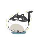 にゃいんしゅたいんスタンプ（個別スタンプ：36）