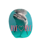 D.Dolphin（個別スタンプ：2）
