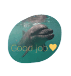 D.Dolphin（個別スタンプ：4）