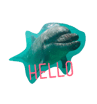 D.Dolphin（個別スタンプ：6）