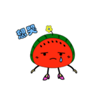 Lady Watermelon（個別スタンプ：1）