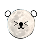 moon bears（個別スタンプ：2）