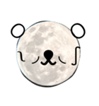moon bears（個別スタンプ：3）