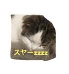すもさん（個別スタンプ：4）