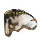 すもさん（個別スタンプ：14）
