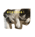 すもさん（個別スタンプ：20）