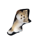 てちべ（個別スタンプ：5）