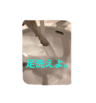 カカオ君です。（個別スタンプ：8）