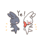 Two-sided Rabbit daily（個別スタンプ：22）