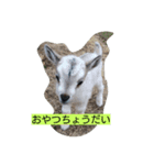 かわいいラビット（個別スタンプ：2）