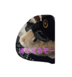 かわいいラビット（個別スタンプ：6）