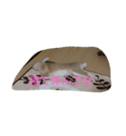 かわいいラビット（個別スタンプ：7）