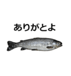 魚（個別スタンプ：2）