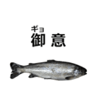 魚（個別スタンプ：5）