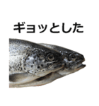 魚（個別スタンプ：7）