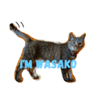 ねこのわさこ2（個別スタンプ：8）