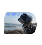 珊瑚君ver2（個別スタンプ：3）