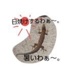 出会った動物たち（個別スタンプ：2）