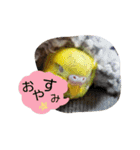 出会った動物たち（個別スタンプ：5）